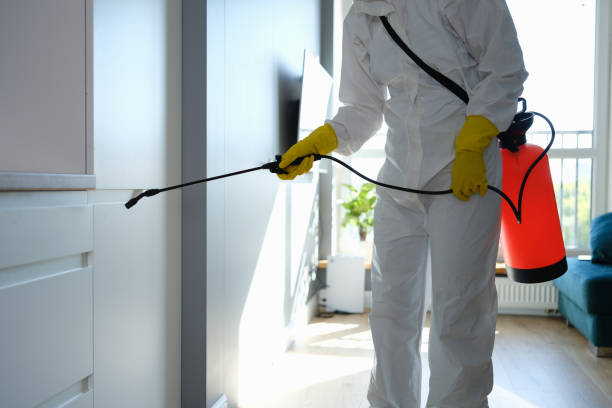 Water Damage Restoration in Peebles, OH